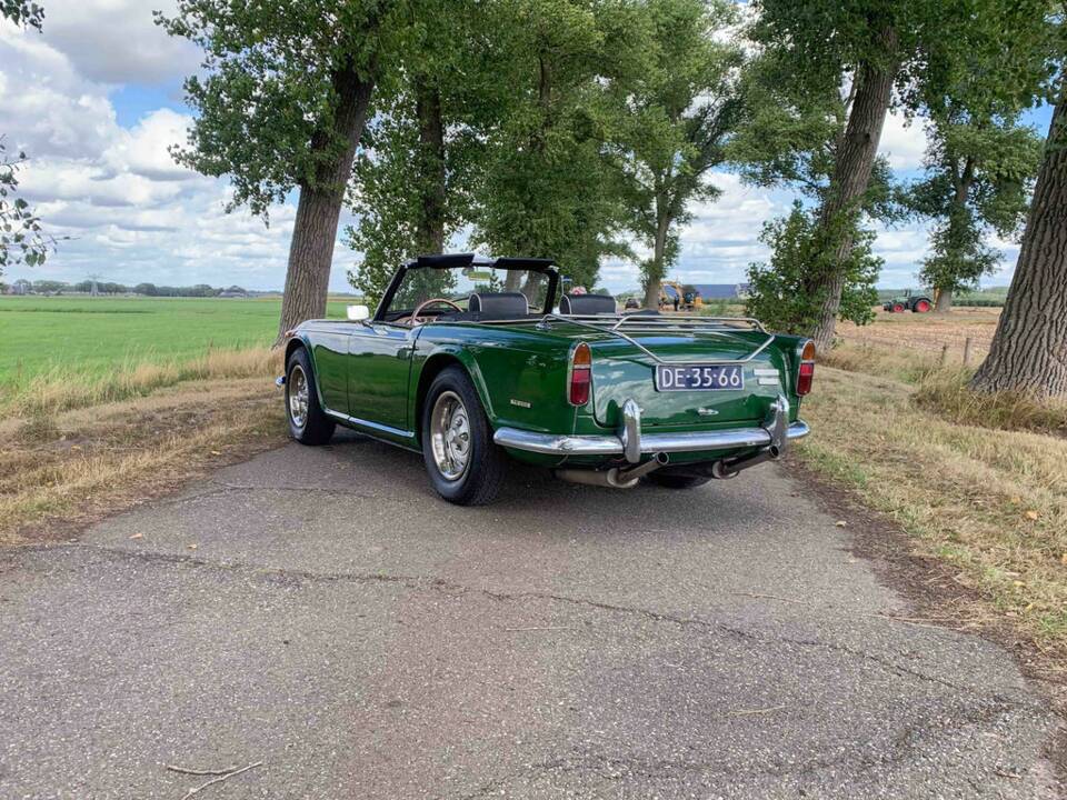 Bild 7/8 von Triumph TR 250 (1967)