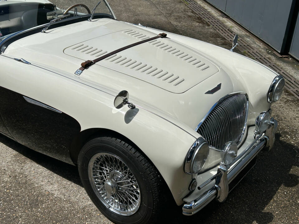 Immagine 13/42 di Austin-Healey 100&#x2F;4 (BN2) (1956)