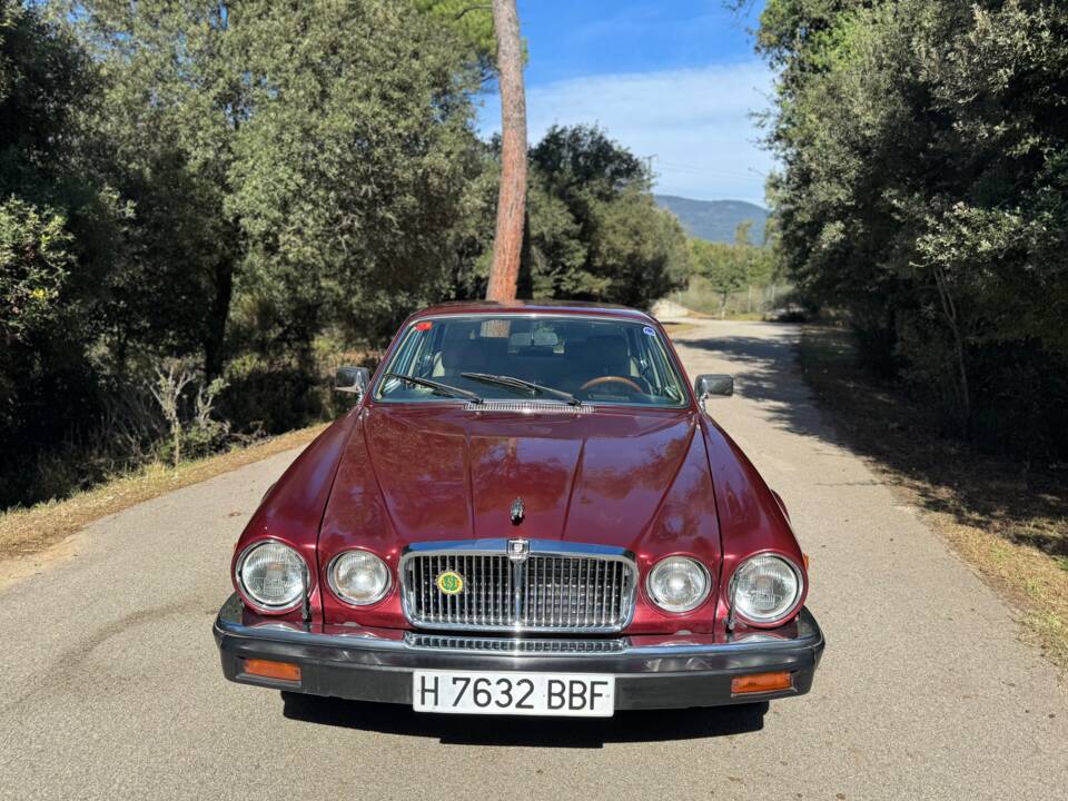 Immagine 35/41 di Jaguar XJ 12 (1990)