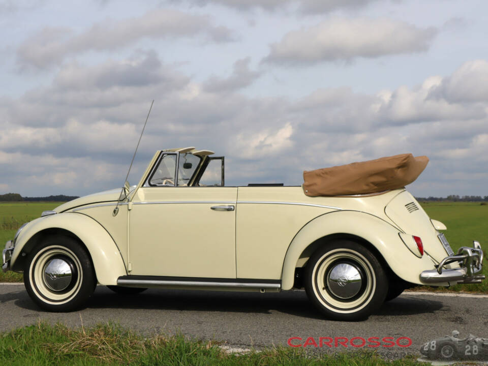 Image 6/50 de Volkswagen Coccinelle 1200 (1963)