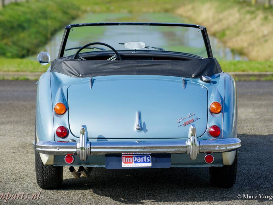 Imagen 19/20 de Austin-Healey 3000 Mk III (BJ8) (1966)