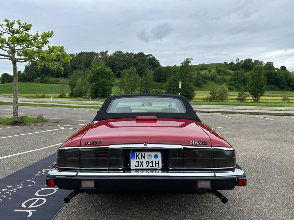 Image 25/40 of Jaguar XJS 5.3 V12 (1991)