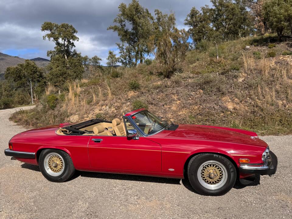 Bild 31/62 von Jaguar XJ-S Convertible (1988)