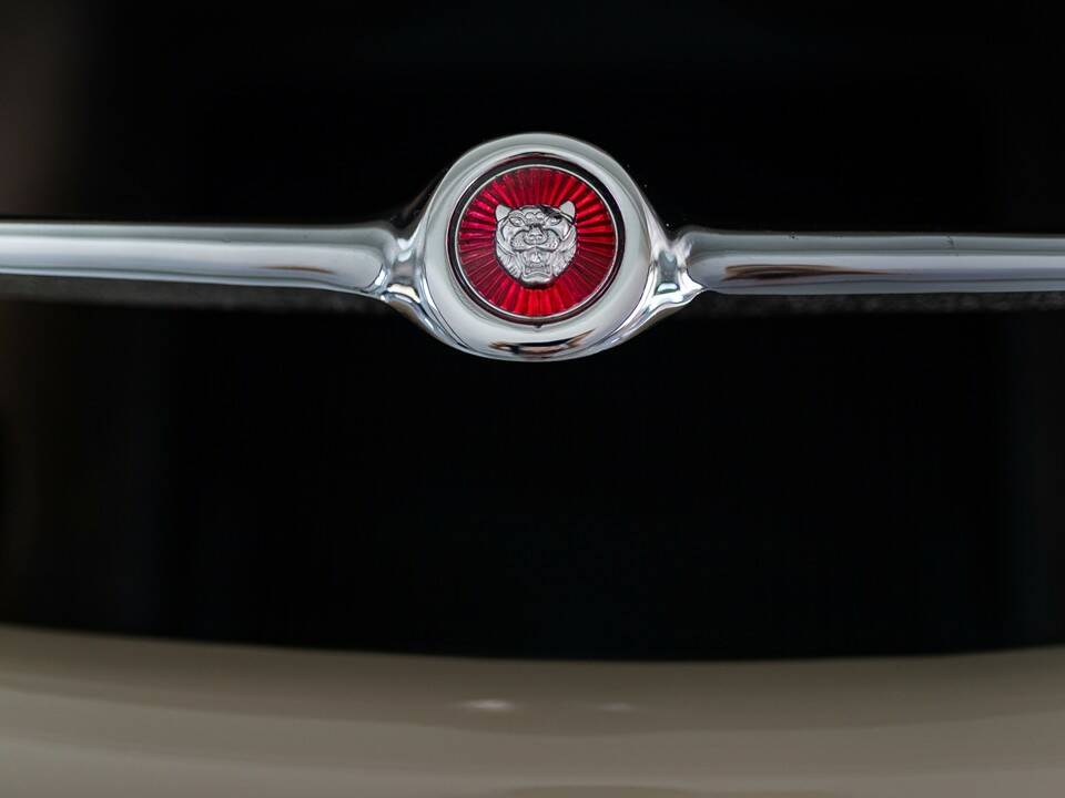 Bild 102/102 von Jaguar E-Type 4.2 (1966)