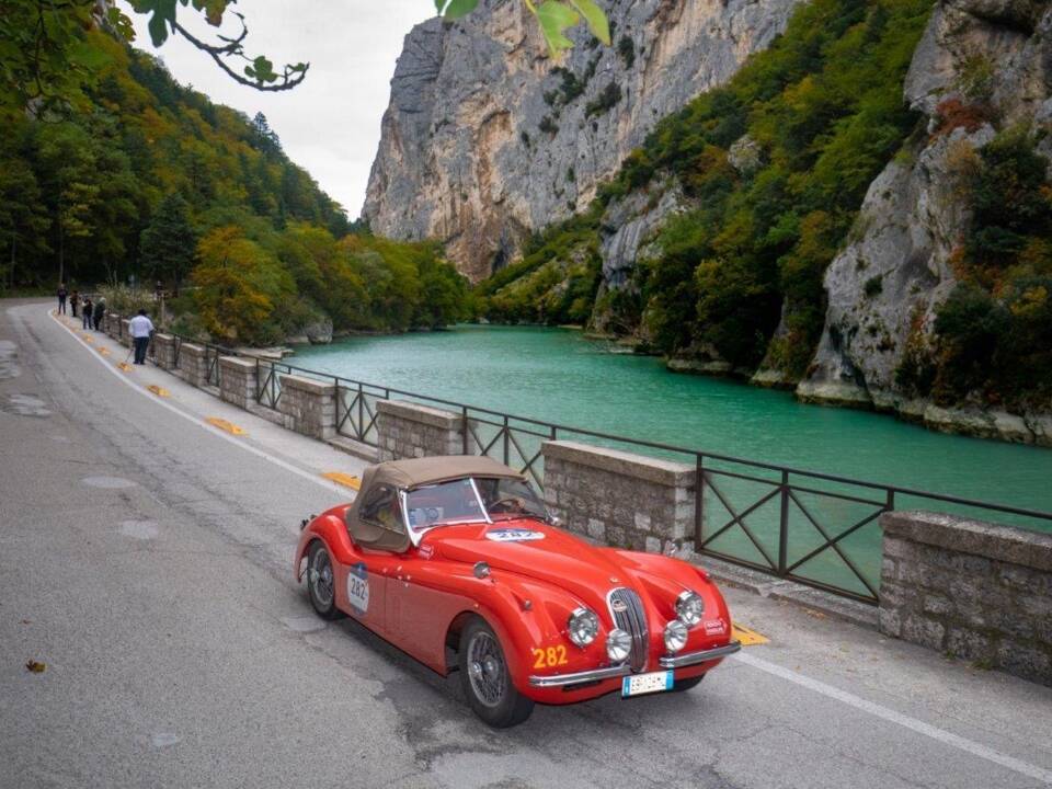 Bild 28/45 von Jaguar XK 120 SE OTS (1954)