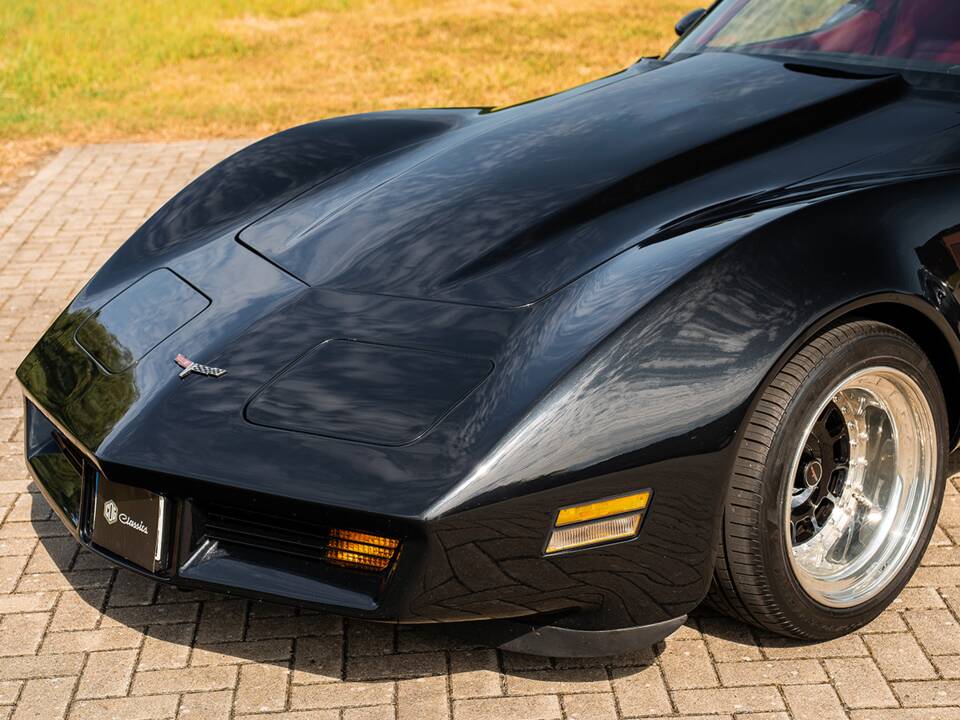 Immagine 7/42 di Chevrolet Corvette Sting Ray (1980)