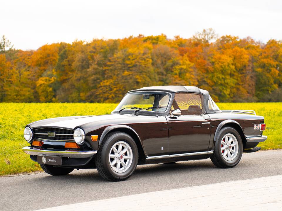 Immagine 3/36 di Triumph TR 6 (1974)