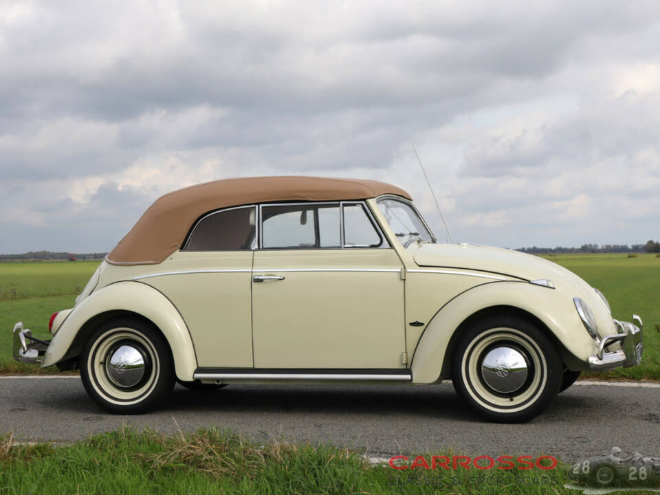 Image 5/50 de Volkswagen Coccinelle 1200 (1963)