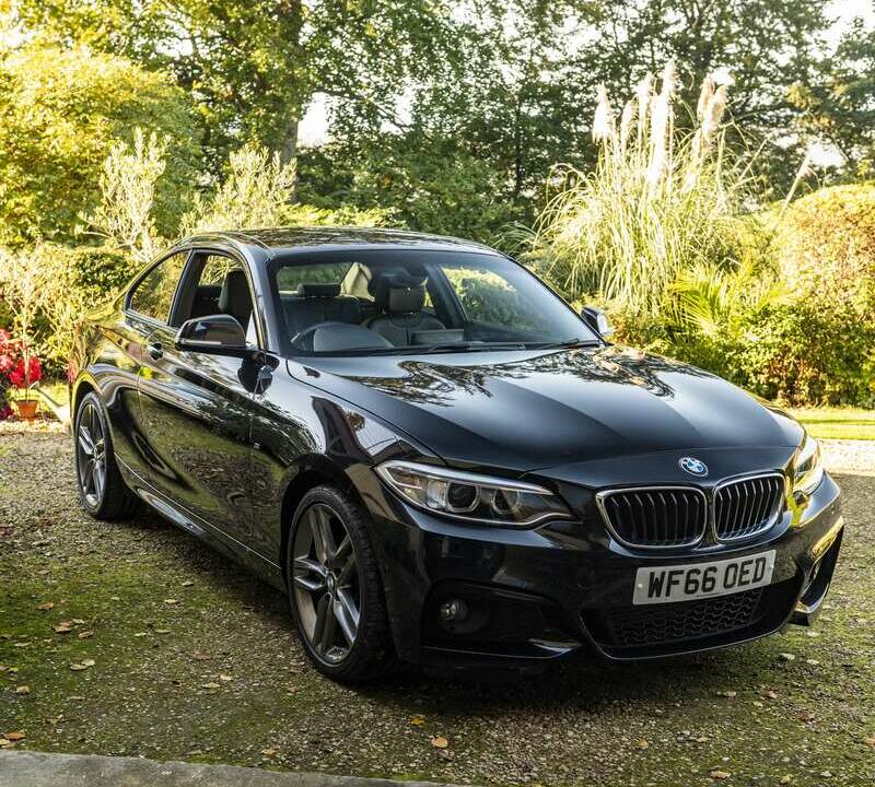 Image 45/50 of BMW 220i (2016)