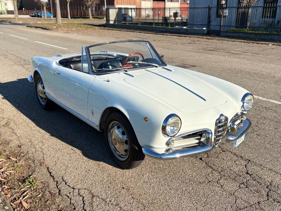 Bild 6/28 von Alfa Romeo Giulietta Spider (1961)