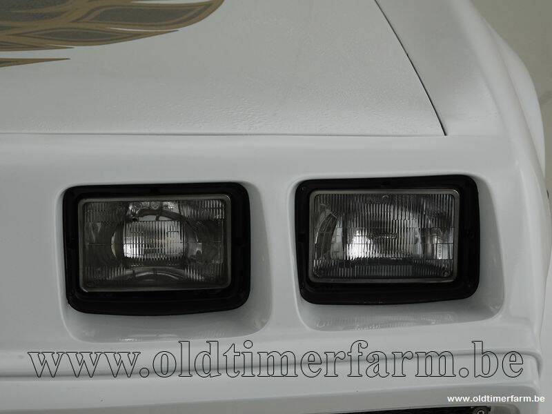 Image 13/15 of Pontiac Firebird Turbo TransAm (1981)