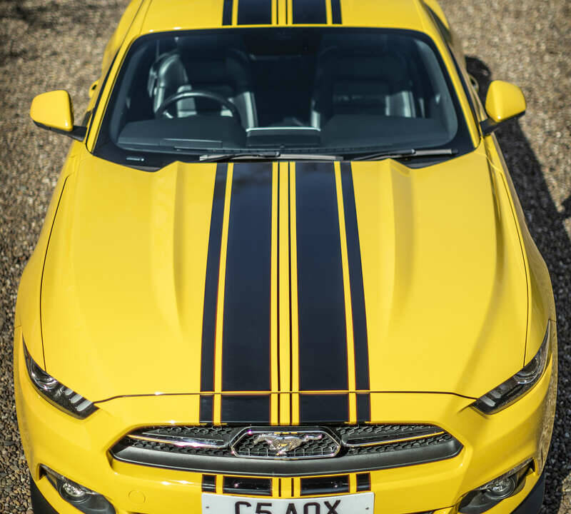 Image 36/43 of Ford Mustang Shelby GT 500 (2016)