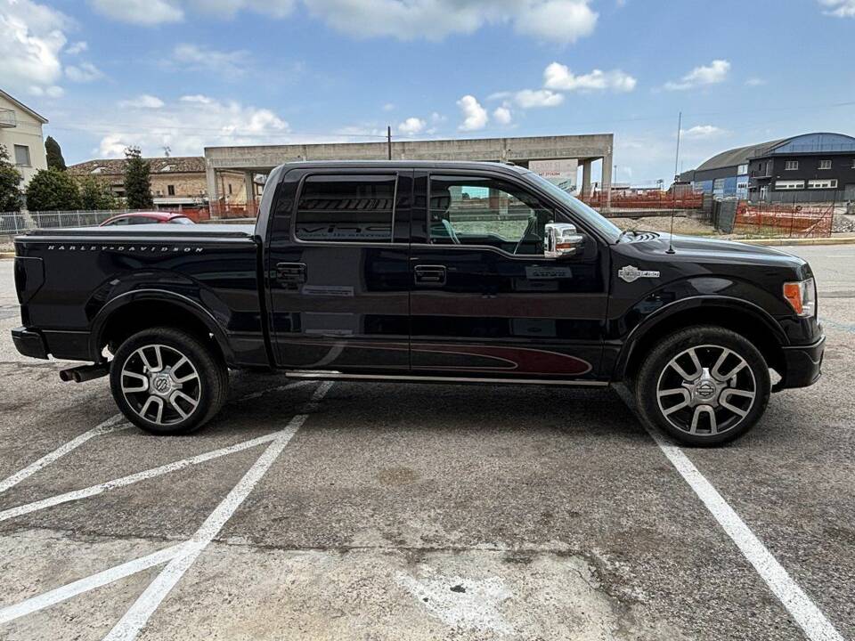 Immagine 4/16 di Ford F-150 "Harley-Davidson" (2010)