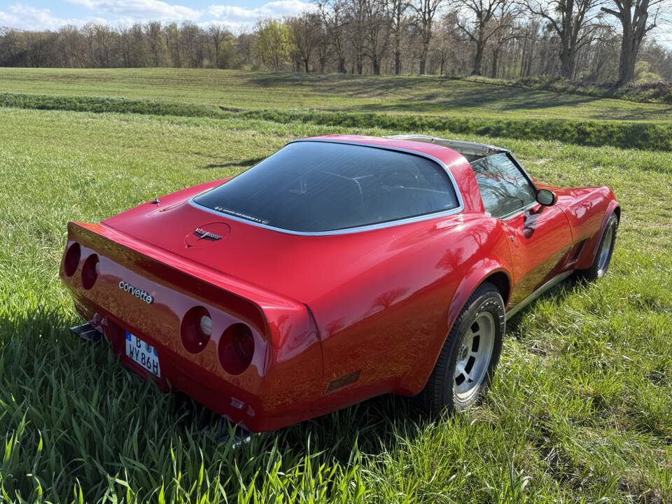 Image 10/20 of Chevrolet Corvette Sting Ray (1980)