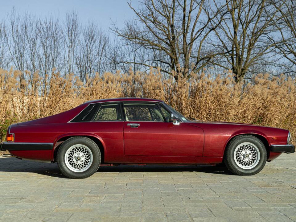 Image 5/50 de Jaguar XJ-S 3.6 (1988)