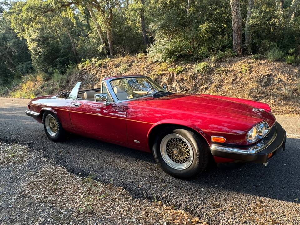 Bild 24/62 von Jaguar XJ-S Convertible (1988)