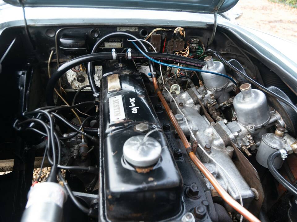 Bild 46/50 von Austin-Healey 3000 Mk I (BN7) (1960)