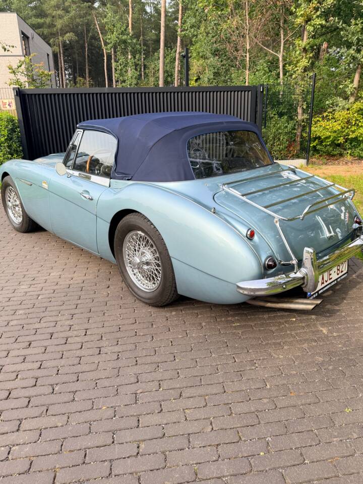 Afbeelding 21/21 van Austin-Healey 3000 Mk II (BJ7) (1963)