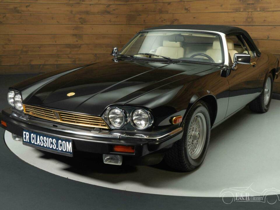 Image 11/19 de Jaguar XJ-S Convertible (1990)