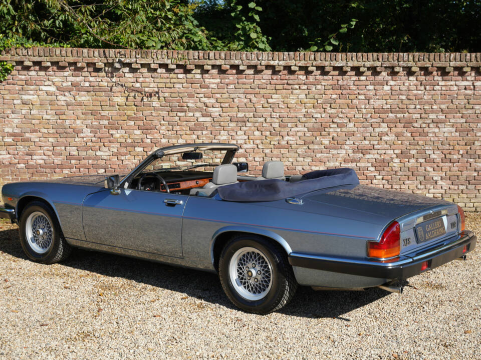 Image 48/50 de Jaguar XJS 5.3 V12 (1989)