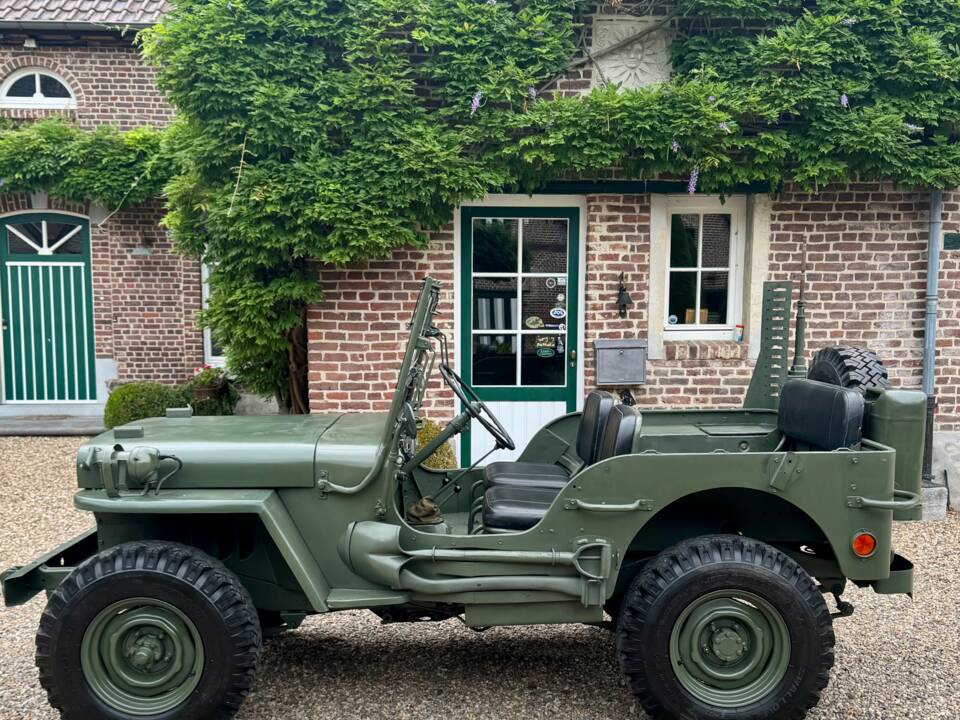 Immagine 18/20 di Jeep Willys-Overland CJ-3A (1950)