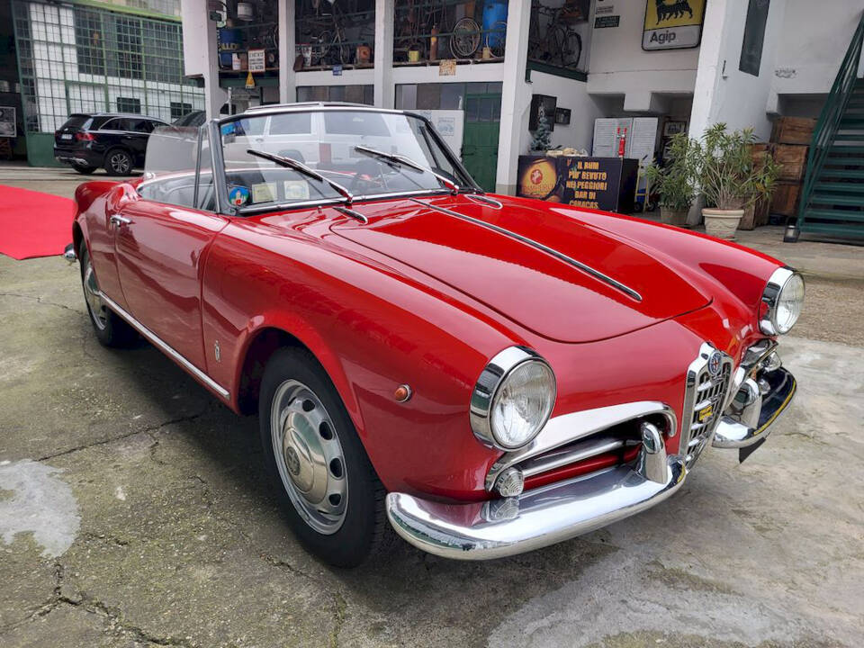 Image 8/65 of Alfa Romeo Giulietta Spider (1962)