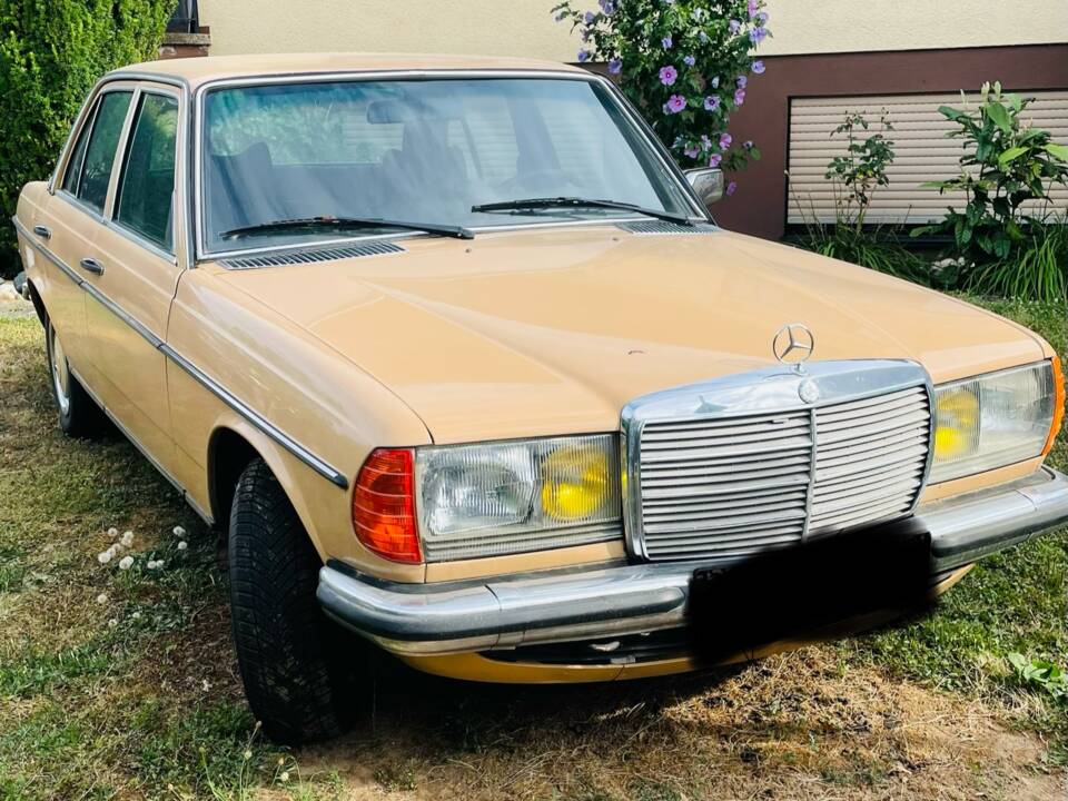 Bild 5/52 von Mercedes-Benz 280 (1976)