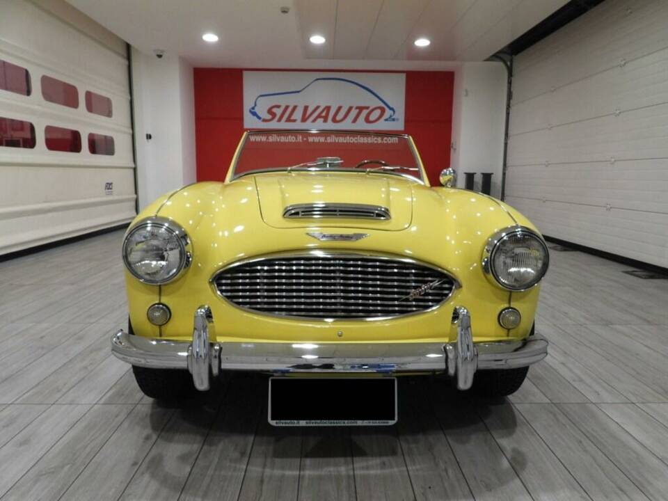Afbeelding 2/15 van Austin-Healey 3000 Mk I (BN7) (1960)