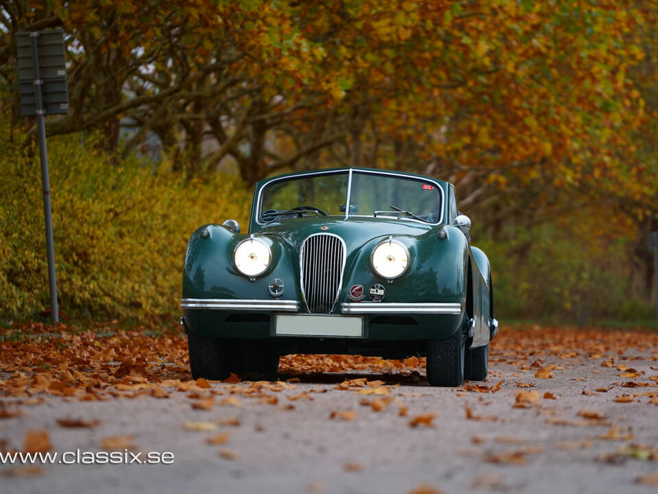 Afbeelding 4/23 van Jaguar XK 120 DHC (1954)