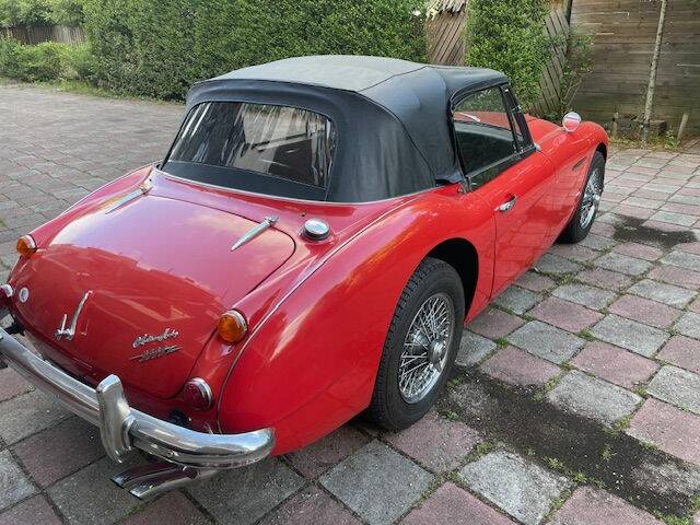 Bild 2/6 von Austin-Healey 3000 Mk III (BJ8) (1967)