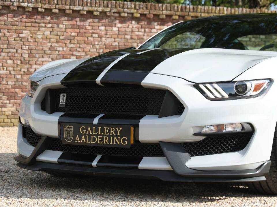 Image 14/50 of Ford Mustang Shelby GT 350 (2017)
