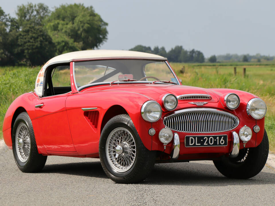 Bild 1/50 von Austin-Healey 3000 Mk II (BN7) (1961)