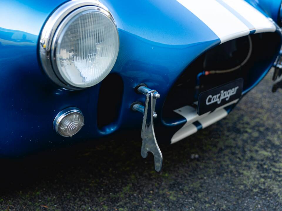 Image 28/68 of Shelby Cobra 289 (1966)