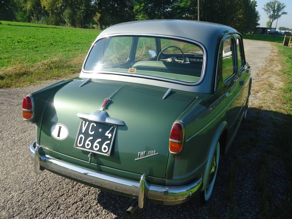 Image 26/50 of FIAT 1100-103 Vignale (1956)