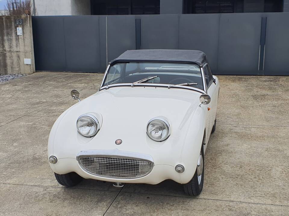 Image 10/30 of Austin-Healey Sprite Mk I (1961)