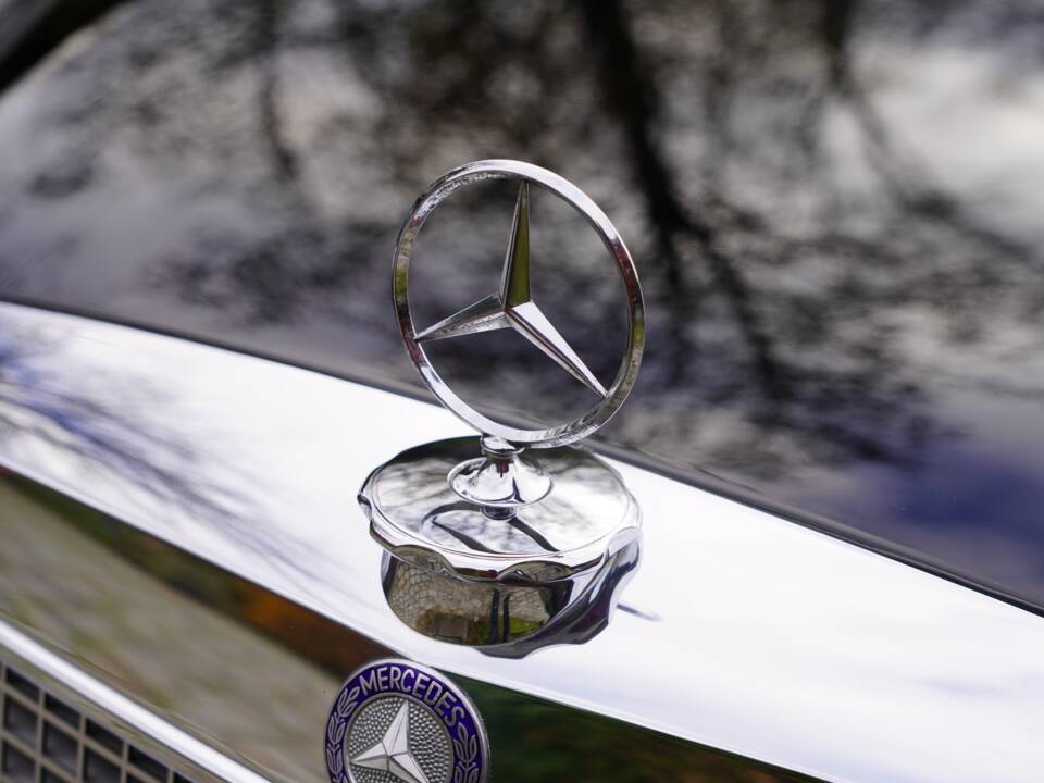 Afbeelding 11/14 van Mercedes-Benz 280 SE 3,5 (1970)