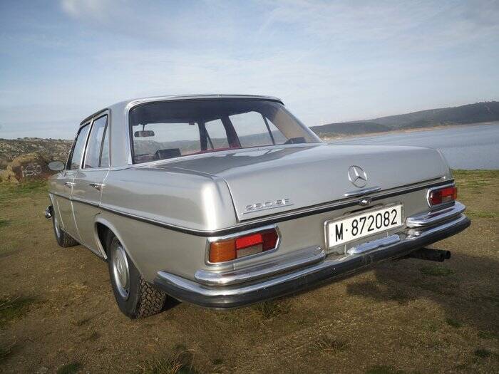 Bild 7/7 von Mercedes-Benz 250 (1970)