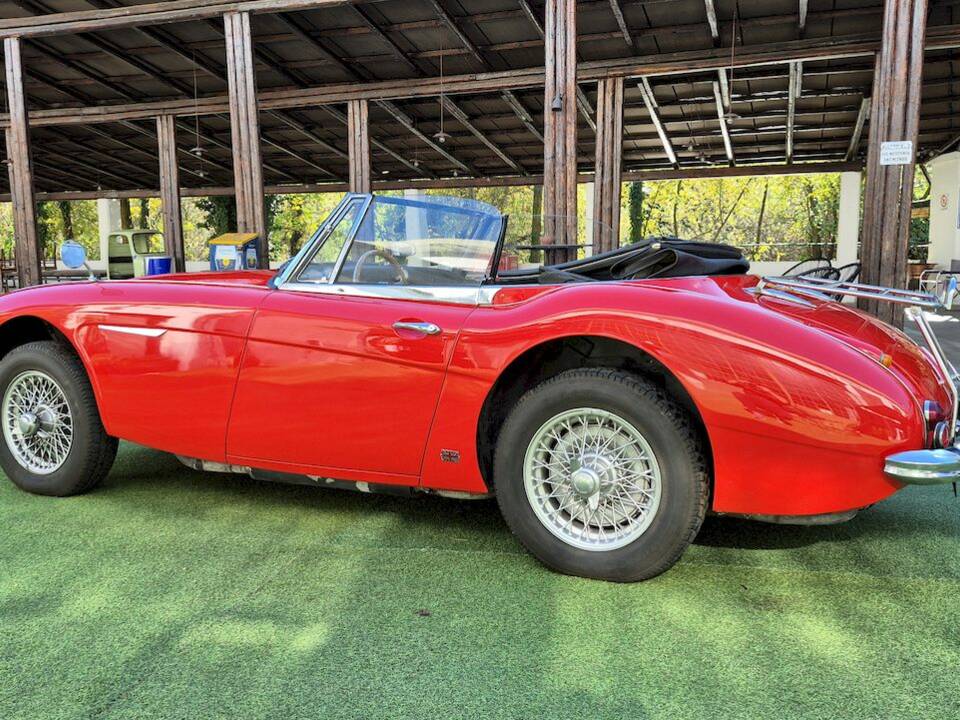 Imagen 14/53 de Austin-Healey 3000 Mk III (BJ8) (1965)