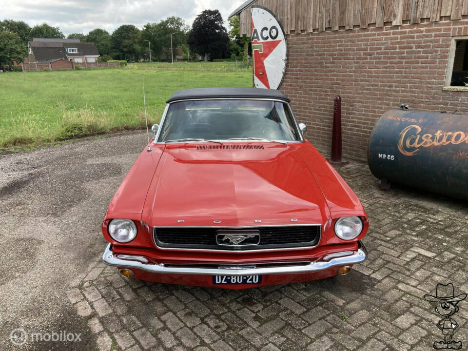 Bild 6/50 von Ford Mustang 289 (1966)