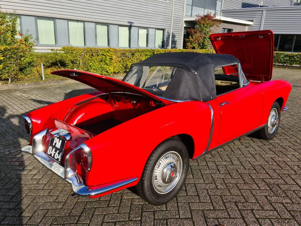 Bild 10/52 von FIAT 1200 Cabriolet (1959)