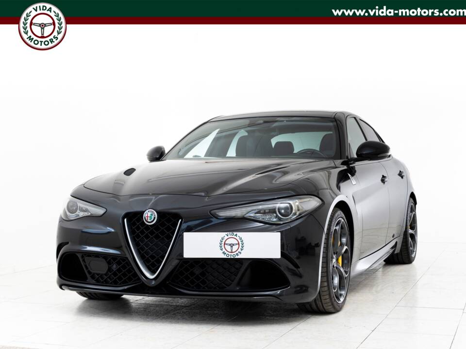 Bild 1/15 von Alfa Romeo Giulia Quadrifoglio (2017)