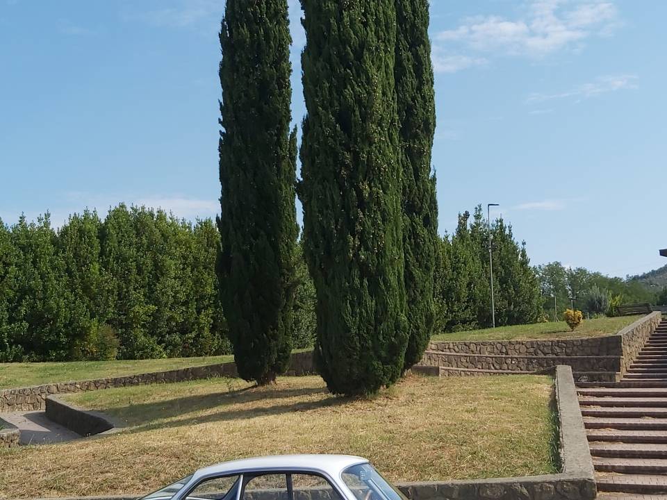 Imagen 7/14 de Lancia Flaminia Sport Zagato (1962)