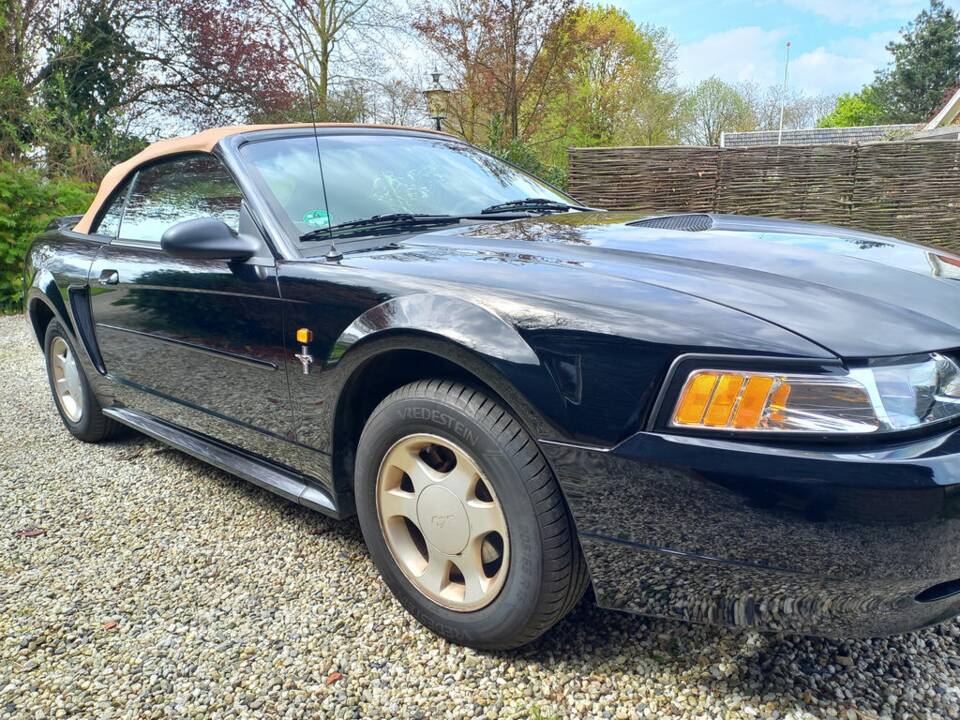 Afbeelding 6/8 van Ford Mustang GT (2000)
