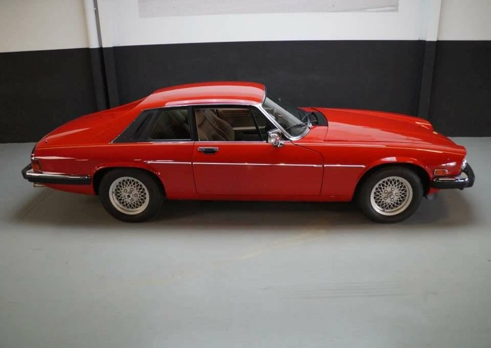 Afbeelding 26/48 van Jaguar XJS 5.3 V12 (1991)