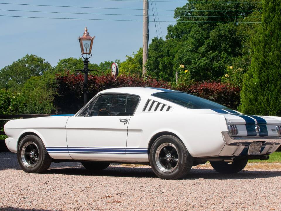 Bild 3/50 von Ford Shelby GT 350 (1965)