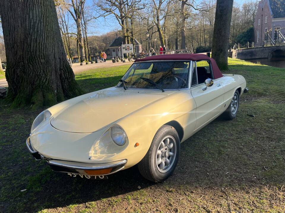 Afbeelding 3/12 van Alfa Romeo 2000 Spider Veloce (1978)