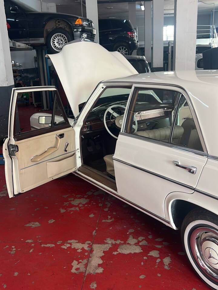 Afbeelding 48/50 van Mercedes-Benz 250 SE (1967)