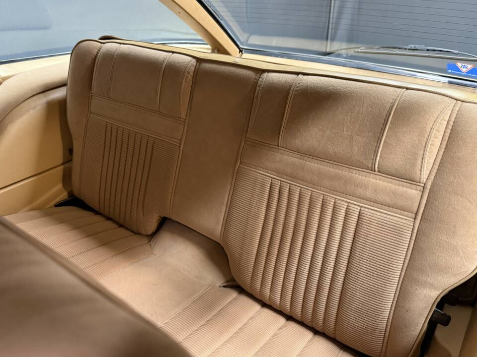 Image 19/50 of AMC Pacer (1982)