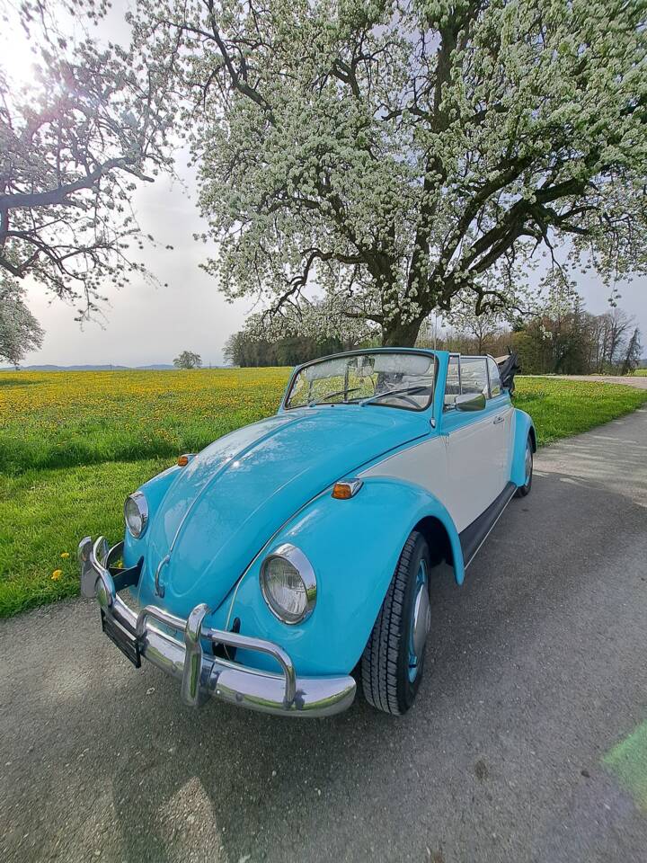 Bild 2/13 von Volkswagen Beetle 1300 (1970)