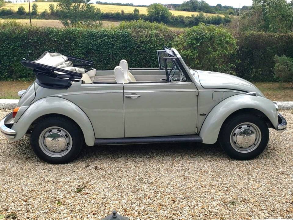 Bild 7/8 von Volkswagen Käfer 1500 (1969)